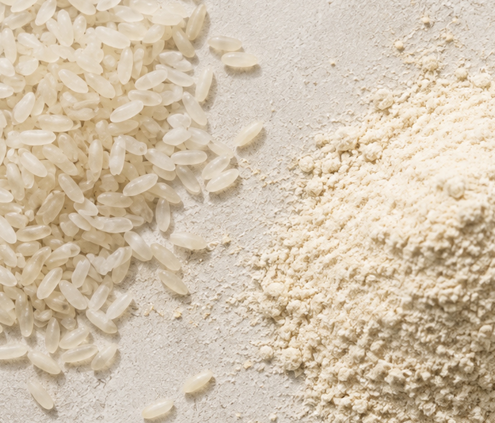White rice grains beside finely milled rice powder on a pale surface